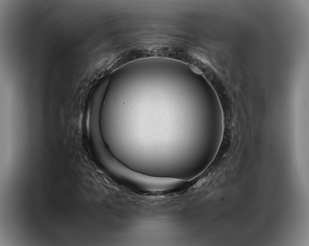 X0000087310965200704201207