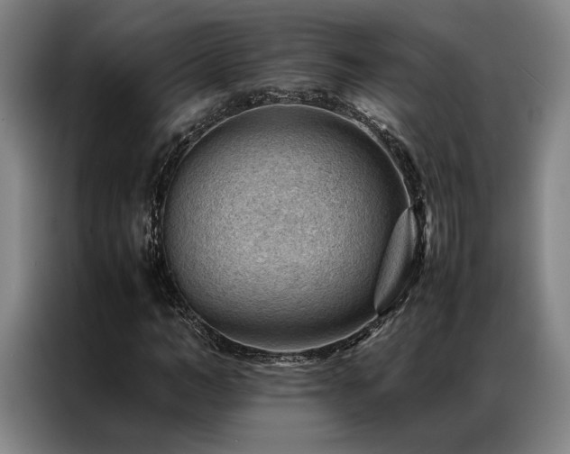 X0000087310966200704201207