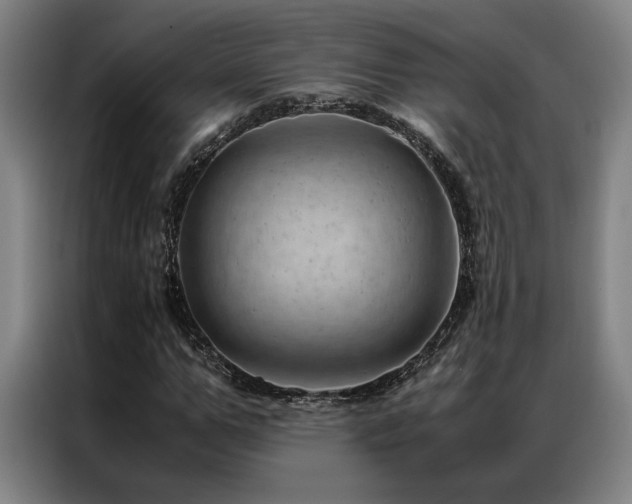 X0000087310967200704201207