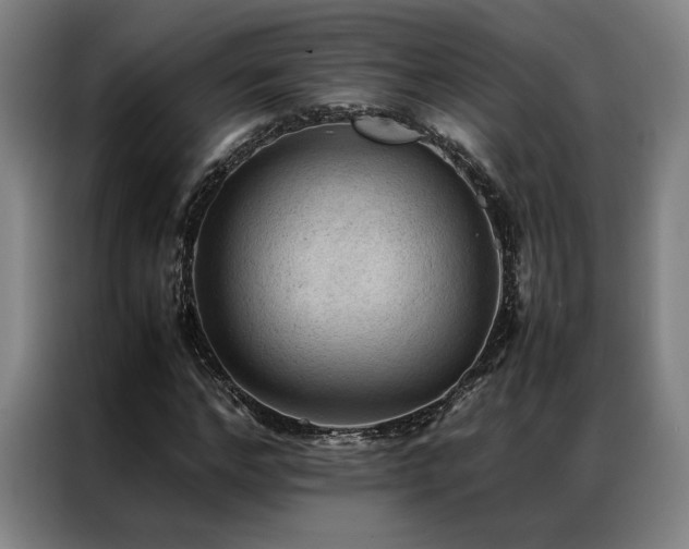 X0000087310968200704201207