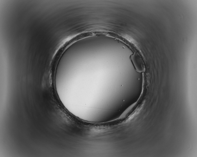 X0000087310973200704201207