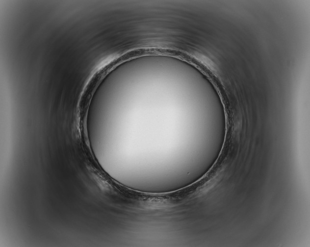 X0000087310974200704201207