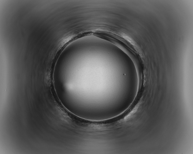 X0000087310977200704201207