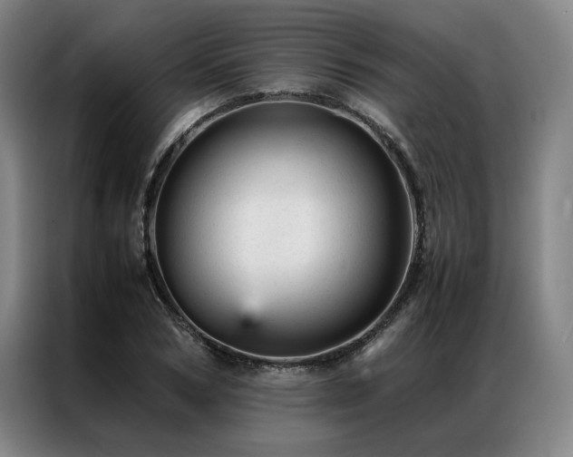 X0000087310978200704201207