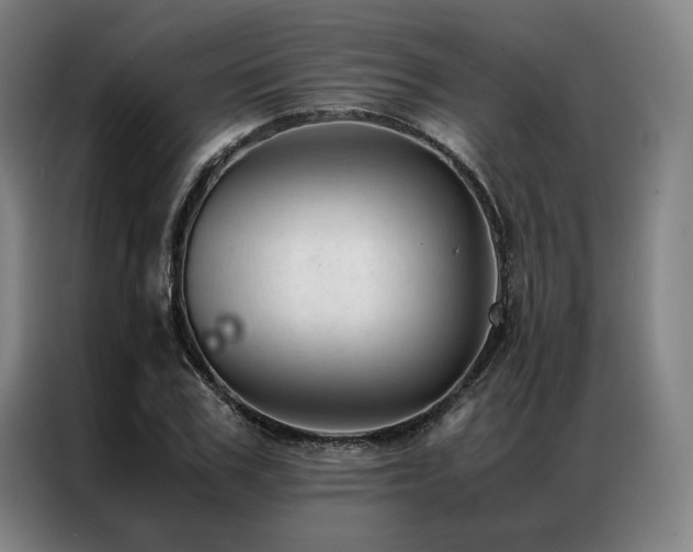 X0000087310979200704201207