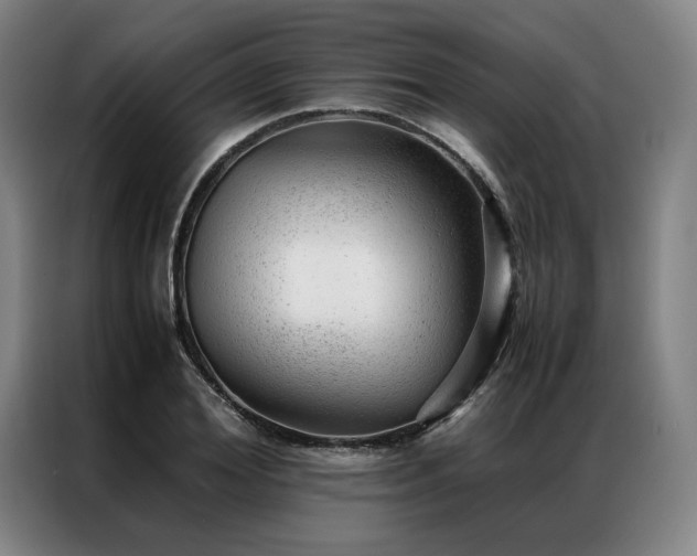 X0000087310980200704201207
