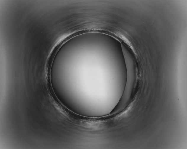 X0000087310981200704201207