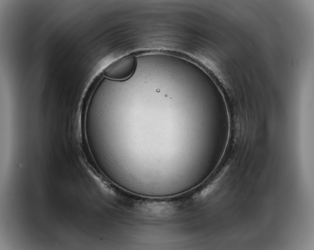 X0000087310982200704201207