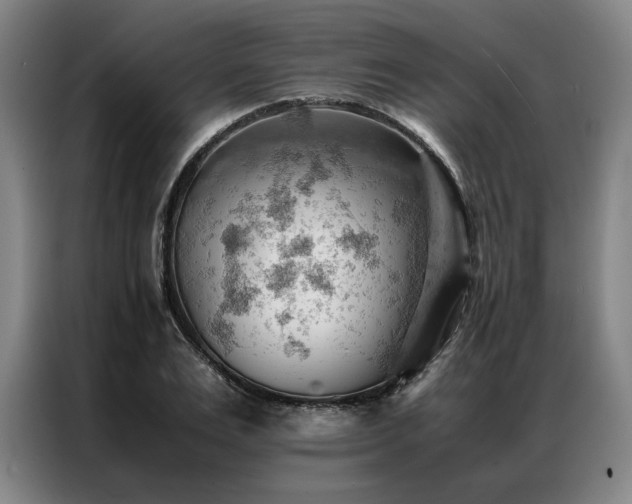 X0000087310983200704201207