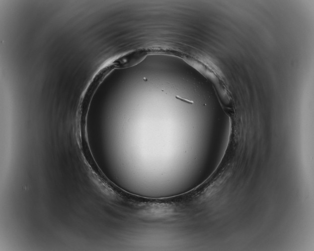 X0000087310984200704201207