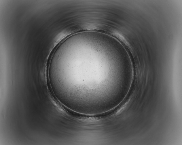 X0000087310986200704201207