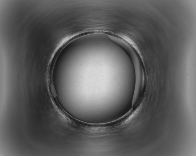 X0000087310989200704201207