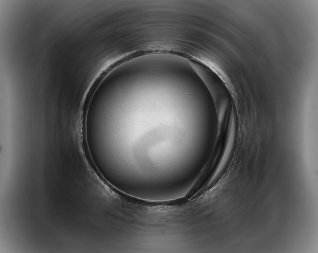 X0000087310992200704201207