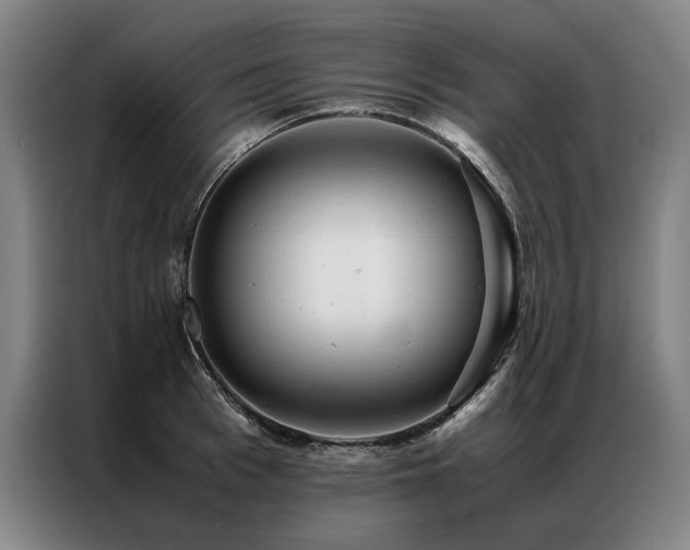 X0000087310993200704201207