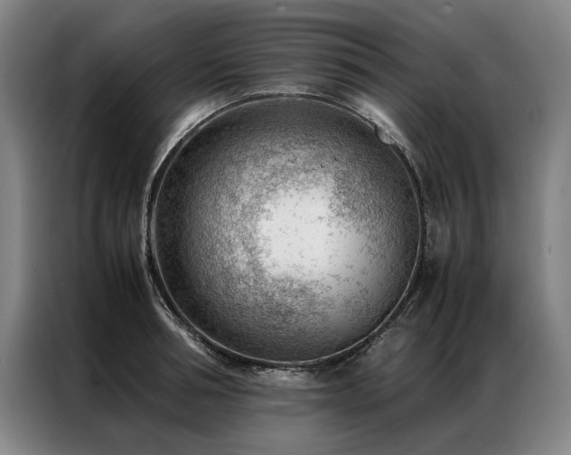 X0000087310994200704201207