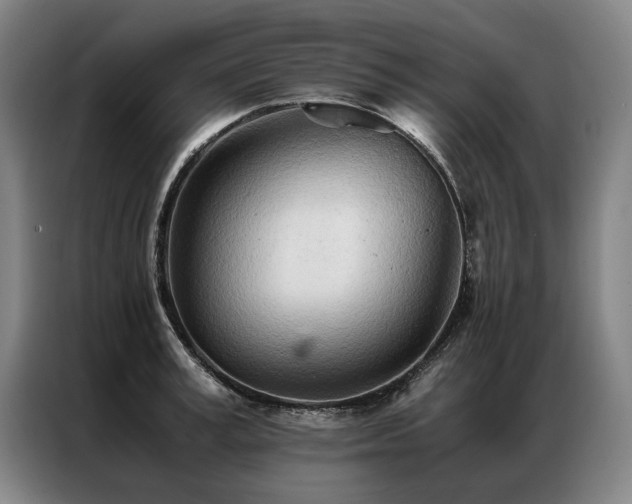 X0000087310995200704201207