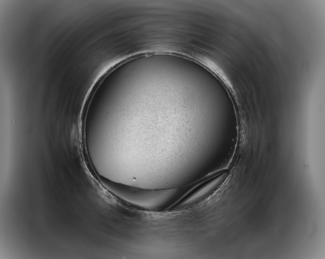 X0000087310996200704201207
