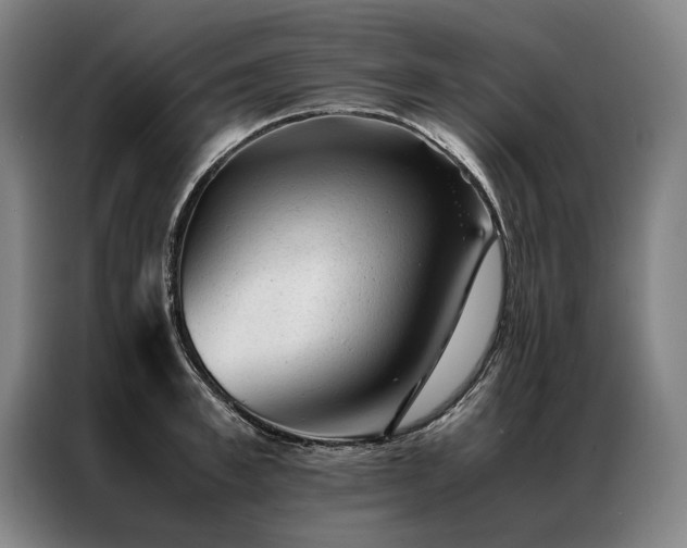 X0000087310997200704201207