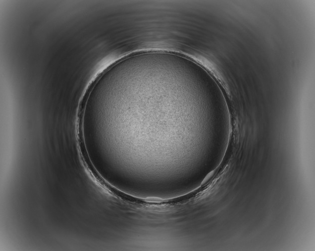 X0000087310998200704201207