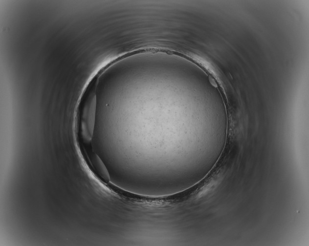 X0000087310999200704201207