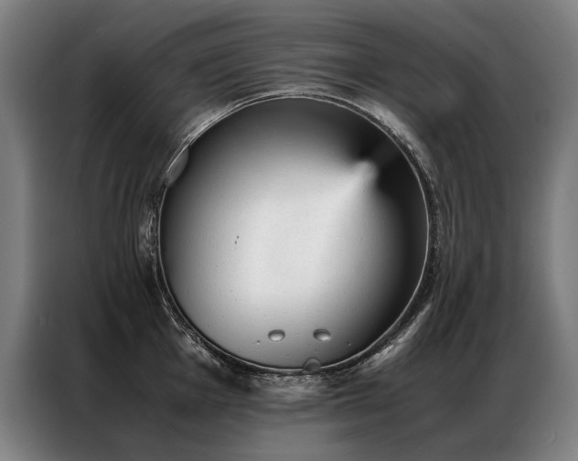 X0000087311001200704201207