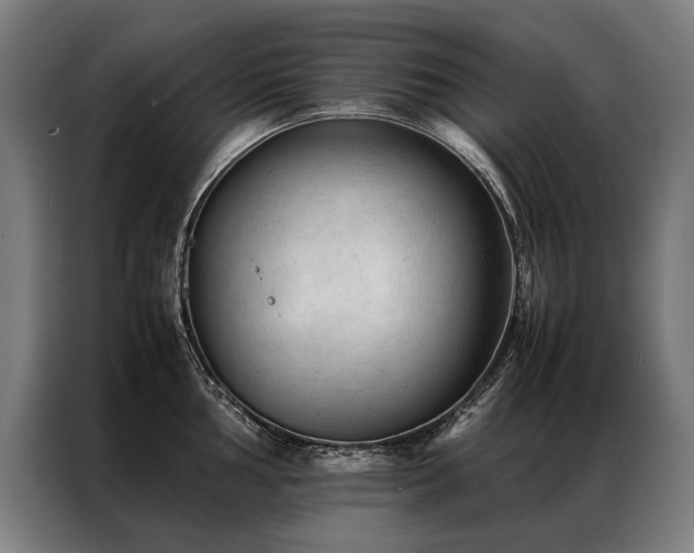 X0000087311002200704201207