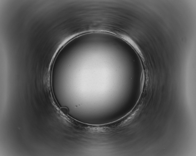 X0000087311004200704201207
