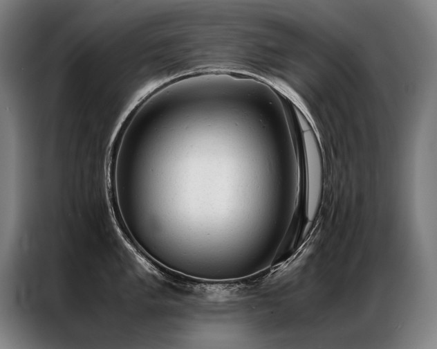 X0000087311005200704201207