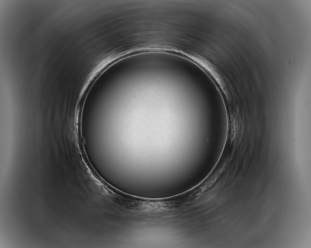 X0000087311006200704201207