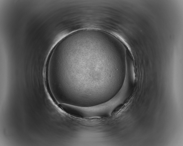 X0000087311007200704201207