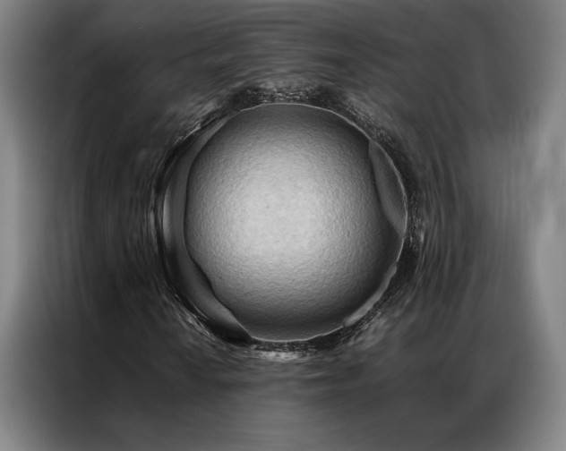 X0000087311010200704201206