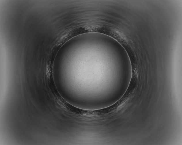 X0000087311012200704201206
