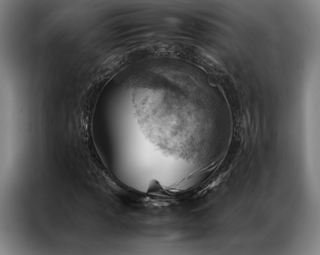 X0000087311013200704201206