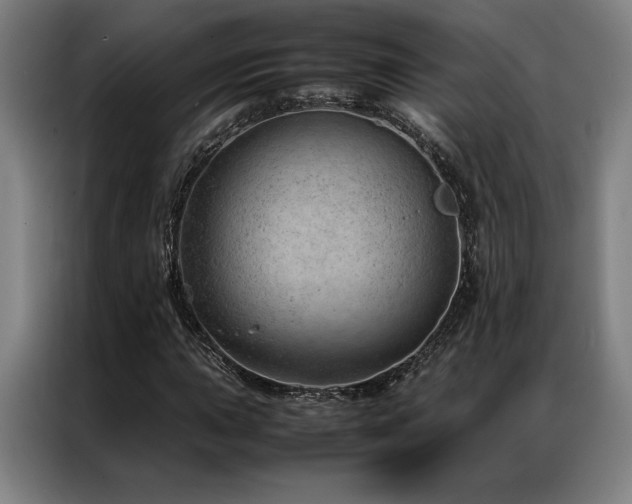 X0000087311015200704201206