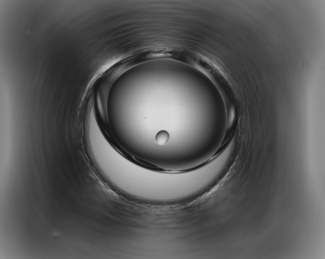 X0000087311018200704201206