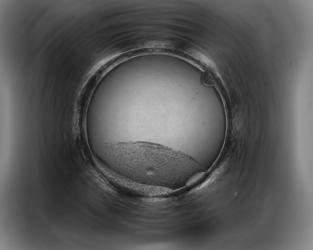 X0000087311019200704201206