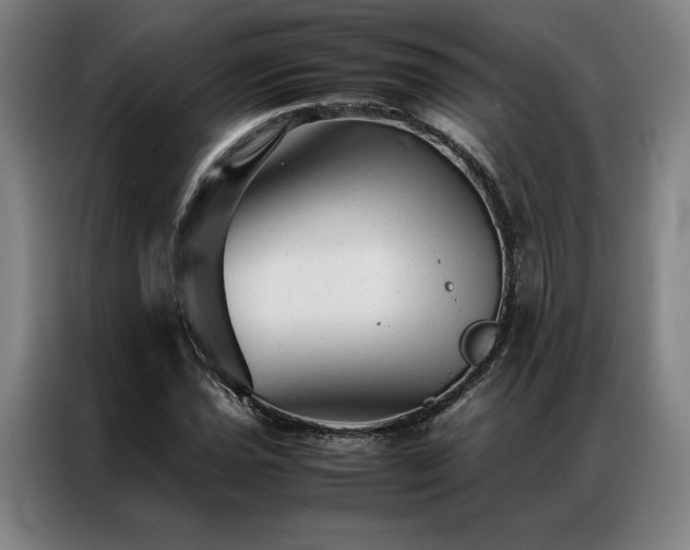 X0000087311021200704201206