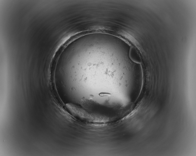 X0000087311023200704201206