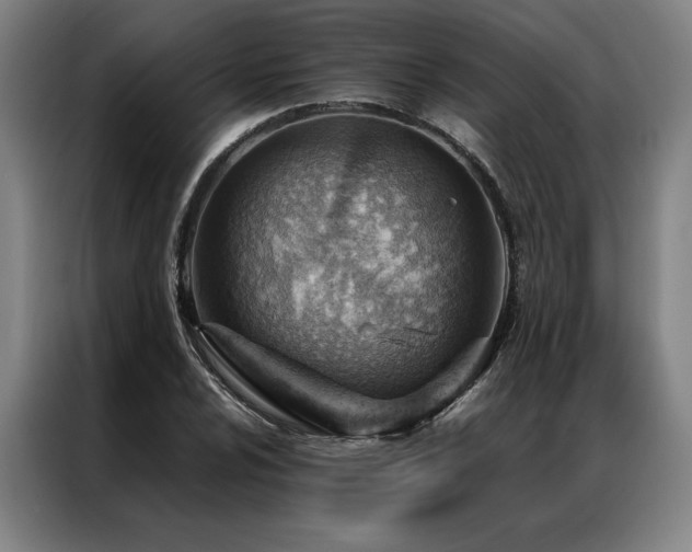 X0000087311024200704201206