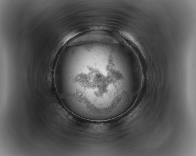 X0000087311025200704201206