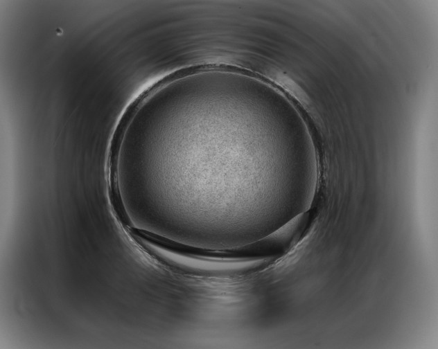 X0000087311028200704201206
