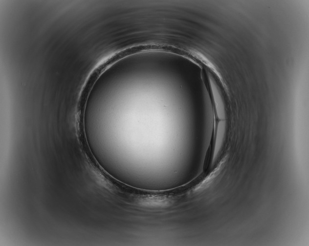 X0000087311029200704201206
