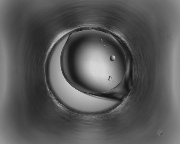X0000087311030200704201206