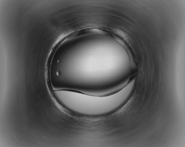 X0000087311034200704201206