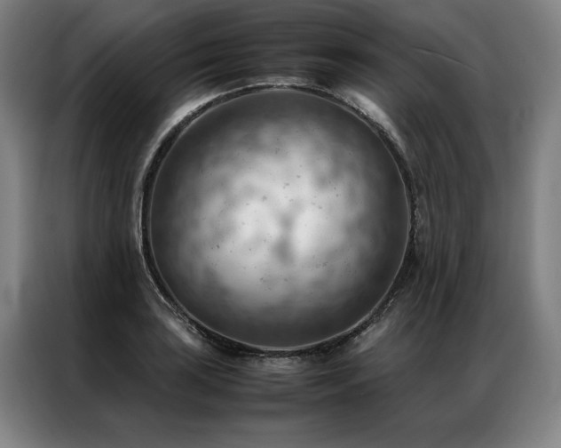 X0000087311035200704201206