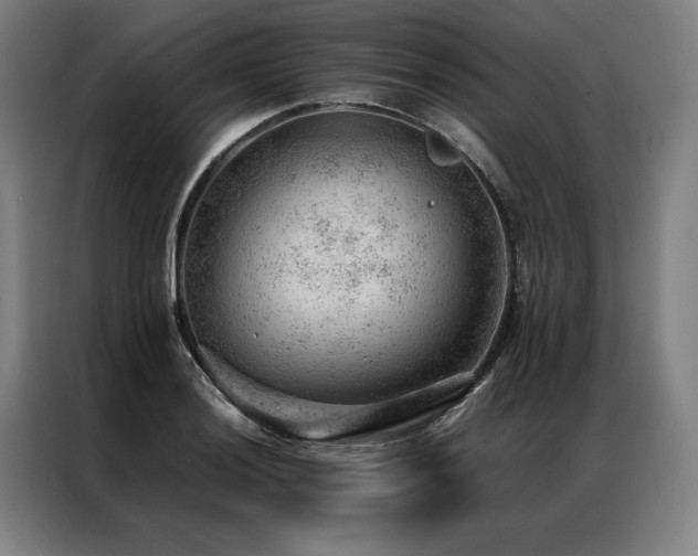 X0000087311036200704201206