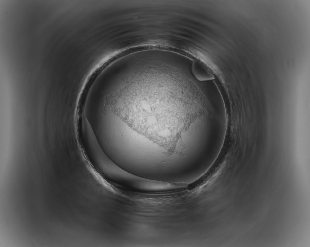 X0000087311037200704201206