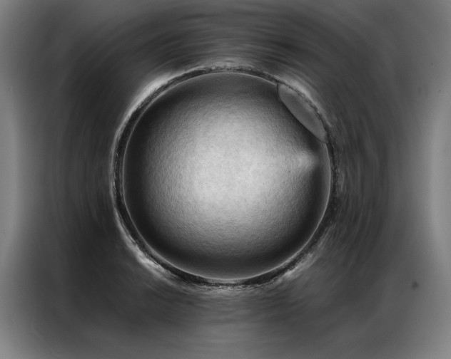 X0000087311038200704201206