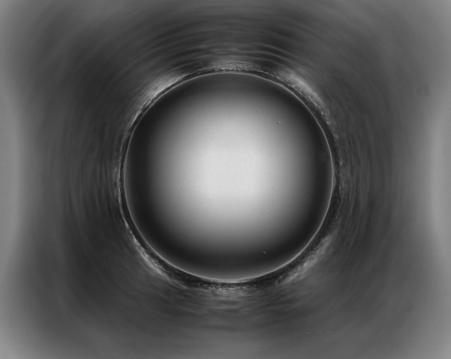 X0000087311041200704201207