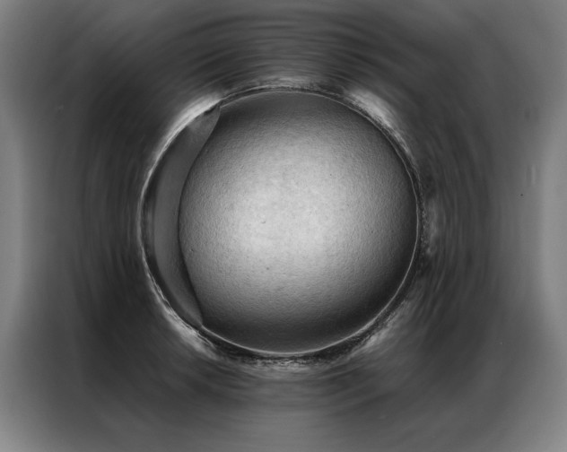 X0000087311042200704201207